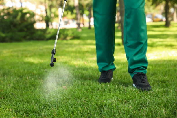 Best Flea Control Services  in Fruit Hill, OH