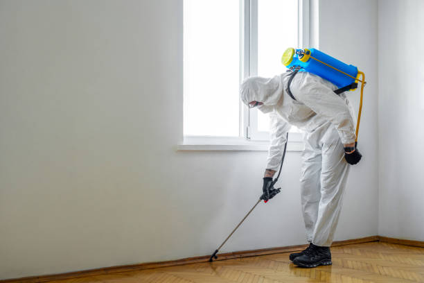 Best Best Pest Control Companies  in Fruit Hill, OH