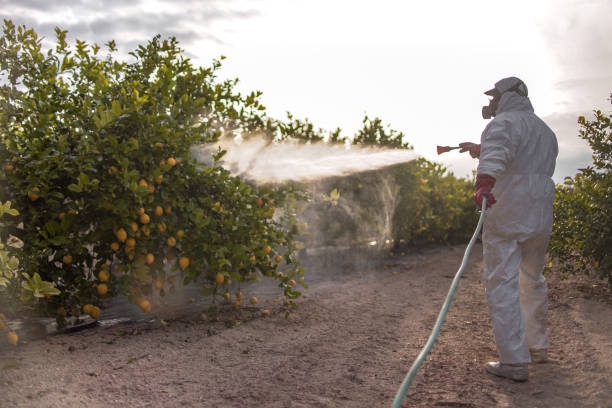 Best Cockroach Control Services  in Fruit Hill, OH