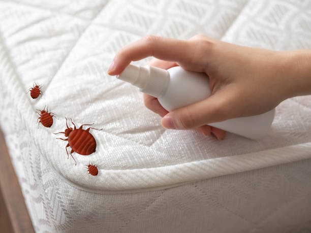 Best Commercial Pest Control Services  in Fruit Hill, OH